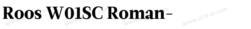 Roos W01SC Roman字体转换